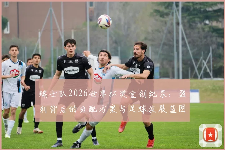 瑞士队2026世界杯奖金创纪录，盈利背后的分配方案与足球发展蓝图解析