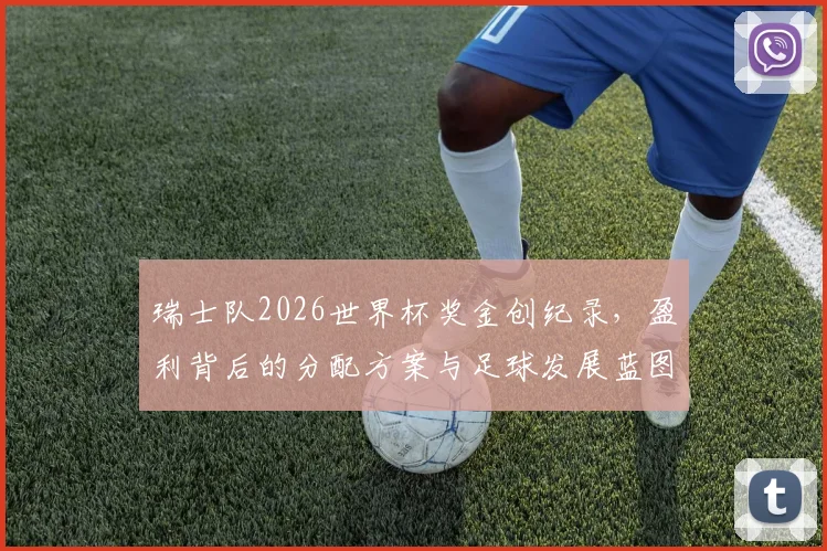 瑞士队2026世界杯奖金创纪录，盈利背后的分配方案与足球发展蓝图解析